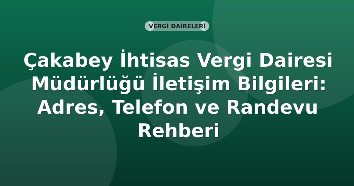Çakabey İhtisas Vergi Dairesi Müdürlüğü İletişim Bilgileri: Adres, Telefon ve Randevu Rehberi
