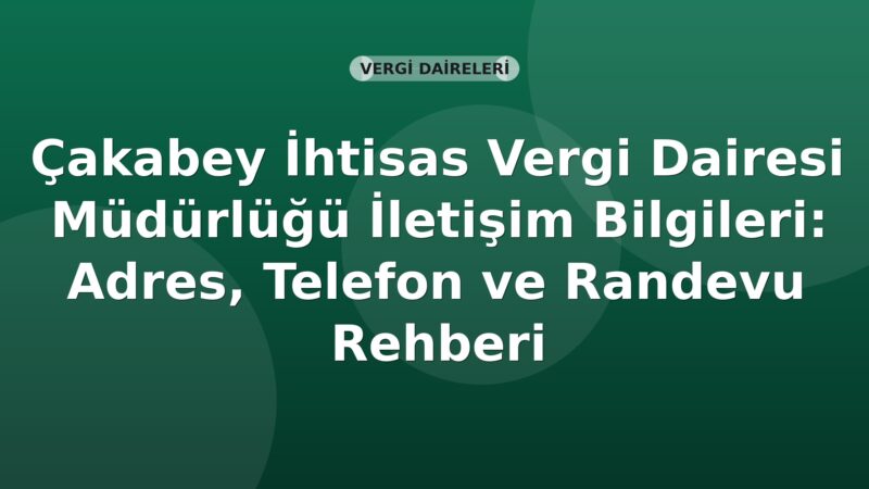 Çakabey İhtisas Vergi Dairesi Müdürlüğü İletişim Bilgileri: Adres, Telefon ve Randevu Rehberi