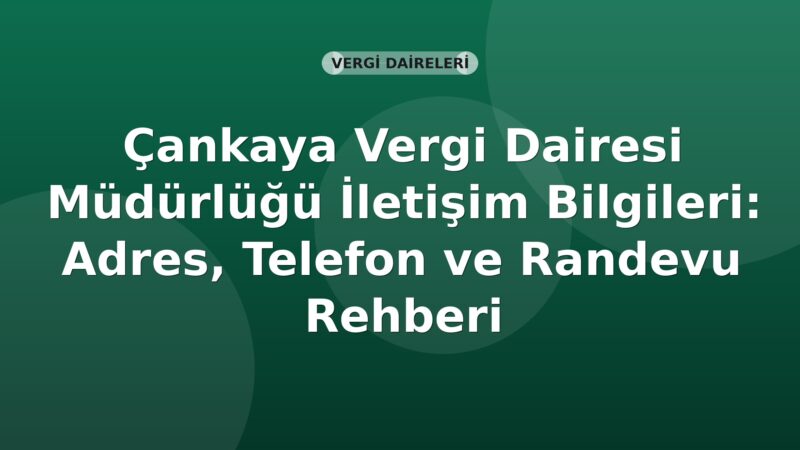 Çankaya Vergi Dairesi Müdürlüğü İletişim Bilgileri: Adres, Telefon ve Randevu Rehberi