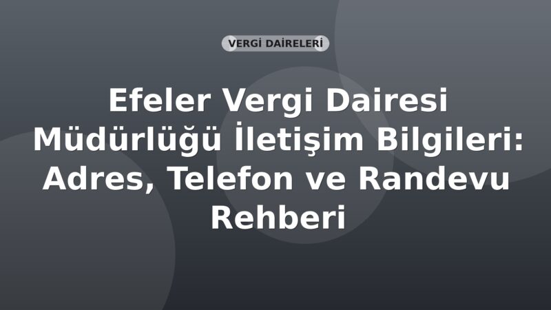 Efeler Vergi Dairesi Müdürlüğü İletişim Bilgileri: Adres, Telefon ve Randevu Rehberi