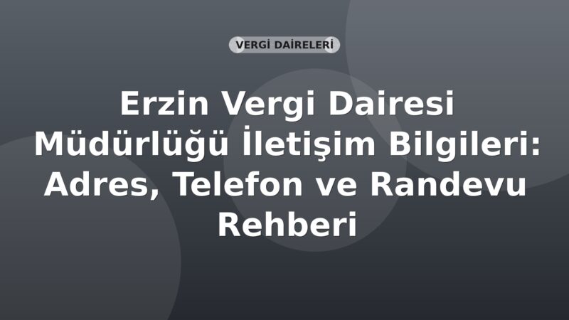 Erzin Vergi Dairesi Müdürlüğü İletişim Bilgileri: Adres, Telefon ve Randevu Rehberi