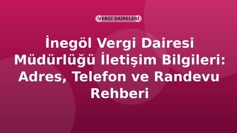 İnegöl Vergi Dairesi Müdürlüğü İletişim Bilgileri: Adres, Telefon ve Randevu Rehberi