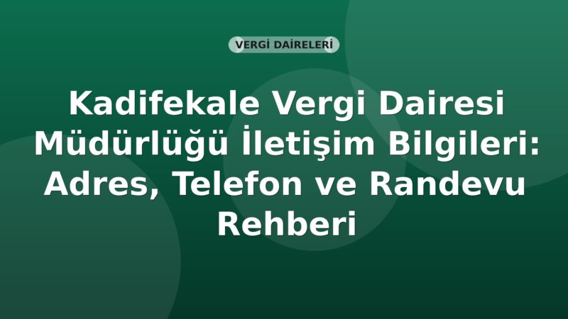 Kadifekale Vergi Dairesi Müdürlüğü İletişim Bilgileri: Adres, Telefon ve Randevu Rehberi