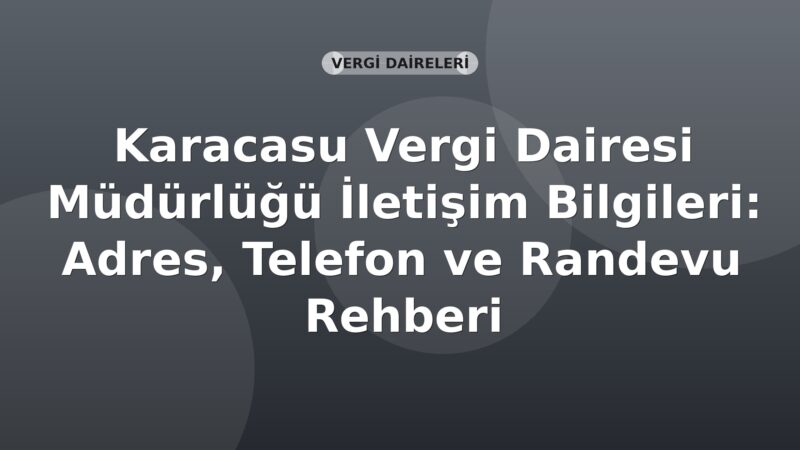 Karacasu Vergi Dairesi Müdürlüğü İletişim Bilgileri: Adres, Telefon ve Randevu Rehberi
