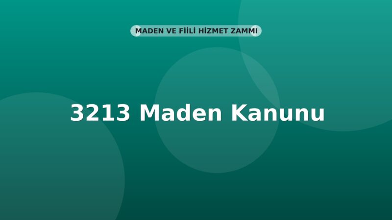 3213 Maden Kanunu