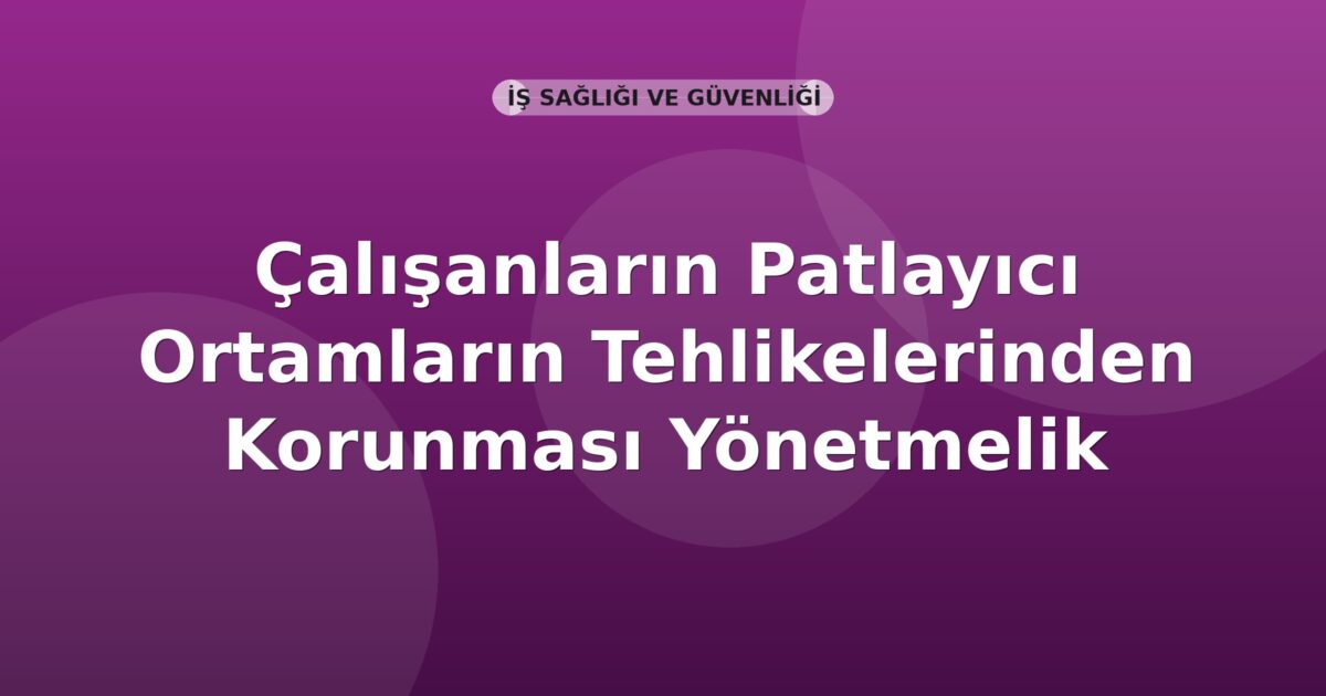 Çalışanların Patlayıcı Ortamların Tehlikelerinden Korunması Yönetmelik