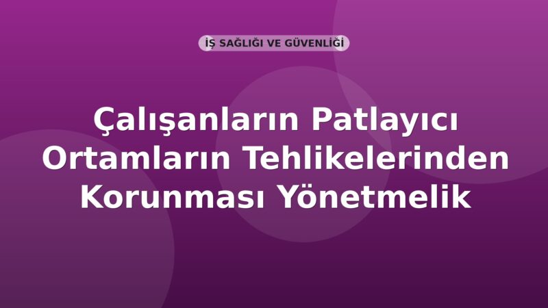 Çalışanların Patlayıcı Ortamların Tehlikelerinden Korunması Yönetmelik