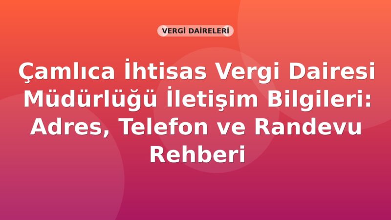 Çamlıca İhtisas Vergi Dairesi Müdürlüğü İletişim Bilgileri: Adres, Telefon ve Randevu Rehberi