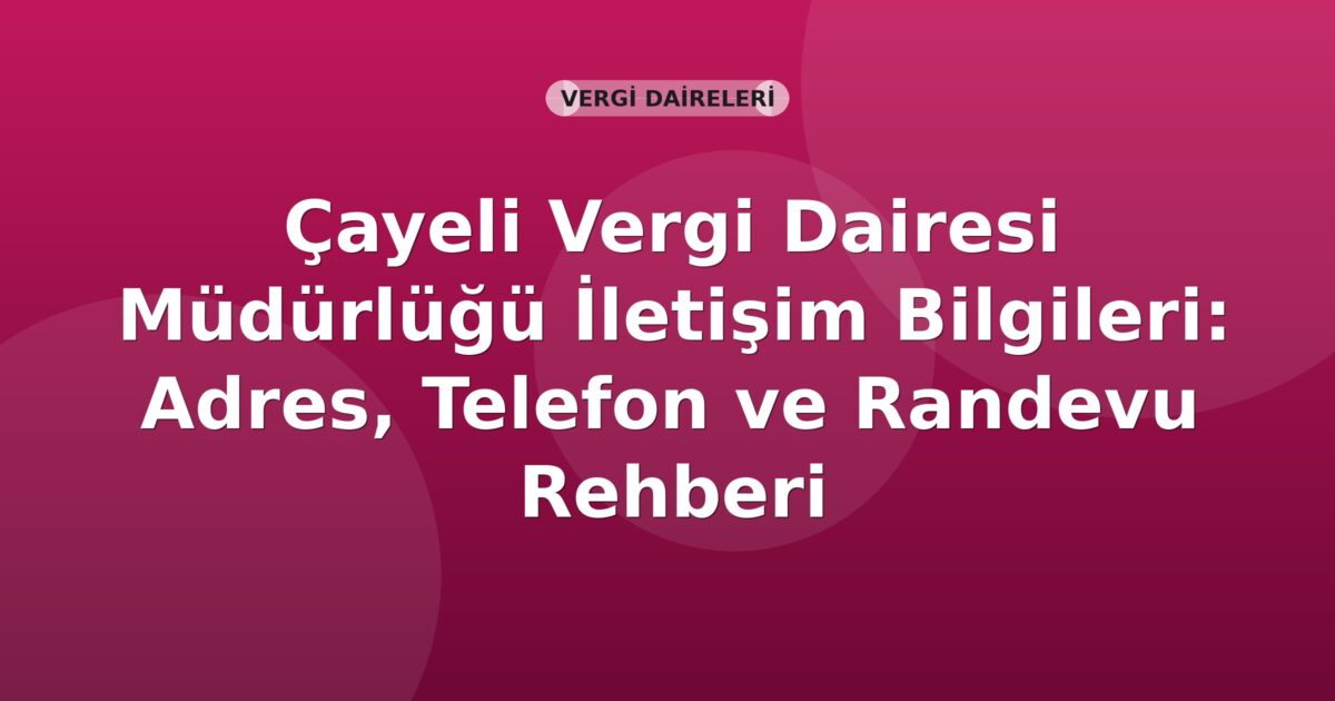 Çayeli Vergi Dairesi Müdürlüğü İletişim Bilgileri: Adres, Telefon ve Randevu Rehberi