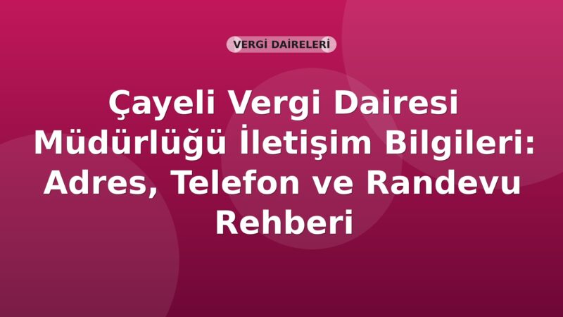 Çayeli Vergi Dairesi Müdürlüğü İletişim Bilgileri: Adres, Telefon ve Randevu Rehberi