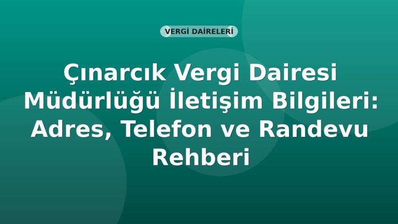 Çınarcık Vergi Dairesi Müdürlüğü İletişim Bilgileri: Adres, Telefon ve Randevu Rehberi