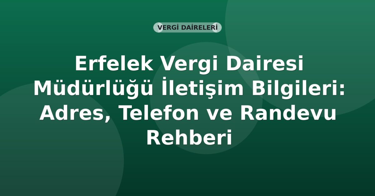 Erfelek Vergi Dairesi Müdürlüğü İletişim Bilgileri: Adres, Telefon ve Randevu Rehberi