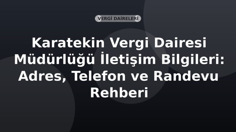 Karatekin Vergi Dairesi Müdürlüğü İletişim Bilgileri: Adres, Telefon ve Randevu Rehberi
