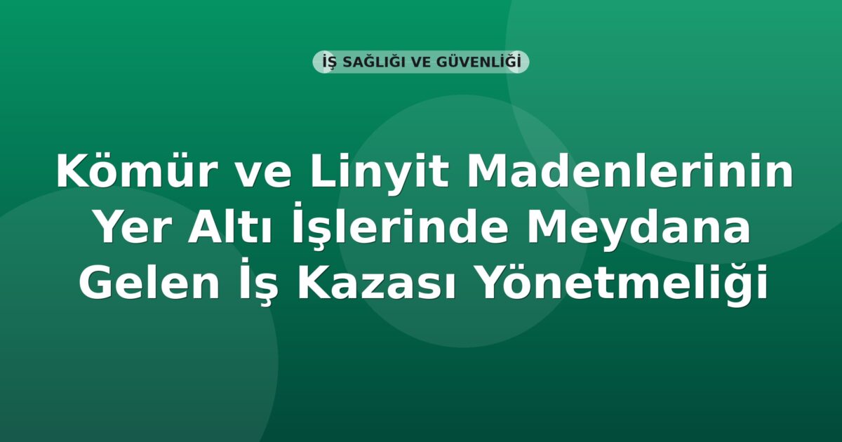 SGK Kömür ve Linyit Madenlerinde İş Kazası Ölen Sigortalı Yakınlarının Kamuda İstihdamı Hakkında Yönetmelik