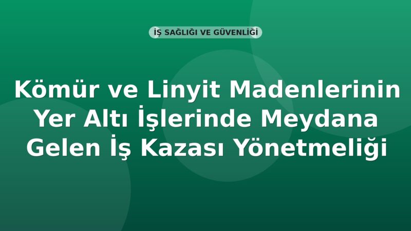 SGK Kömür ve Linyit Madenlerinde İş Kazası Ölen Sigortalı Yakınlarının Kamuda İstihdamı Hakkında Yönetmelik
