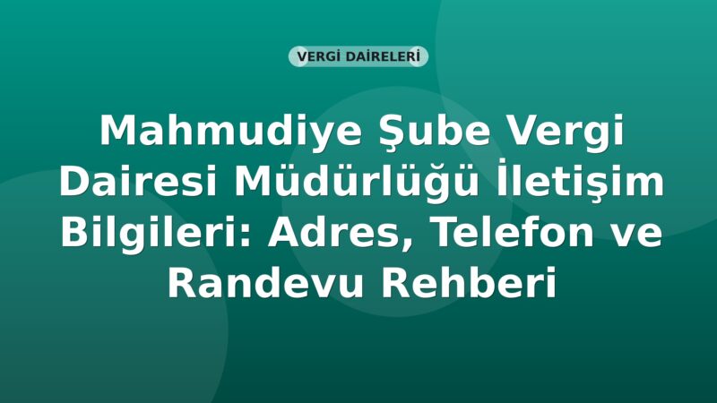 Mahmudiye Şube Vergi Dairesi Müdürlüğü İletişim Bilgileri: Adres, Telefon ve Randevu Rehberi