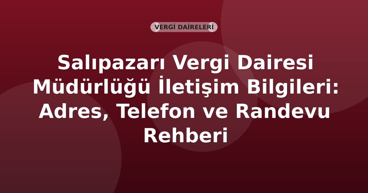 Salıpazarı Vergi Dairesi Müdürlüğü İletişim Bilgileri: Adres, Telefon ve Randevu Rehberi