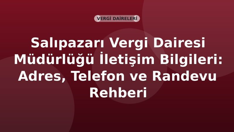 Salıpazarı Vergi Dairesi Müdürlüğü İletişim Bilgileri: Adres, Telefon ve Randevu Rehberi