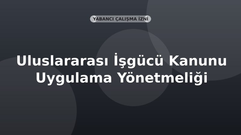 Uluslararası İşgücü Kanunu Uygulama Yönetmeliği