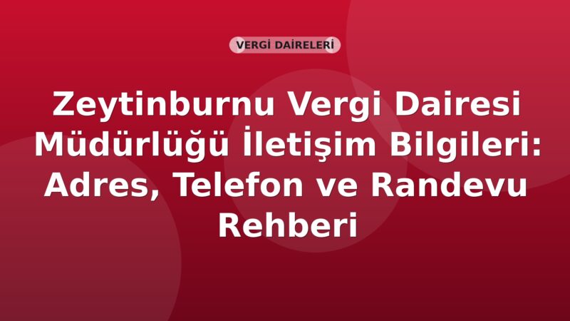 Zeytinburnu Vergi Dairesi Müdürlüğü İletişim Bilgileri: Adres, Telefon ve Randevu Rehberi