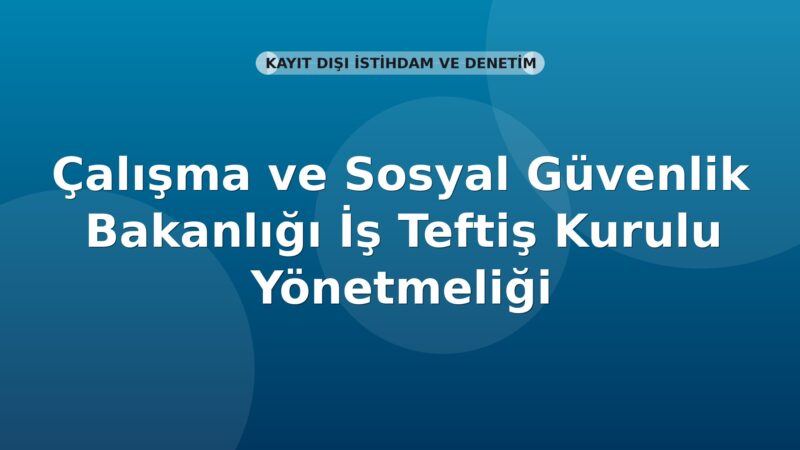 Çalışma ve Sosyal Güvenlik Bakanlığı İş Teftiş Kurulu Yönetmeliği